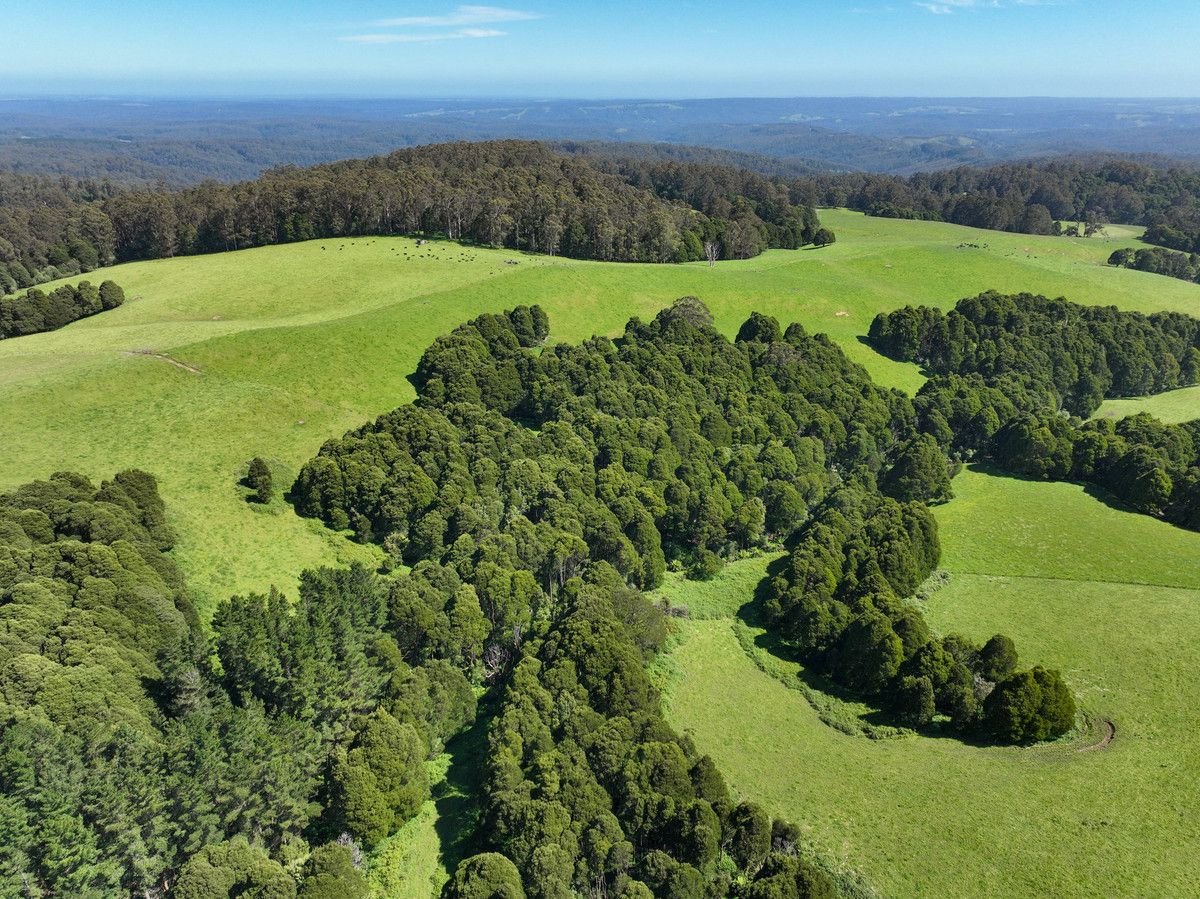 155 Old Colac Road, Beech Forest VIC 3237 House for Sale Domain