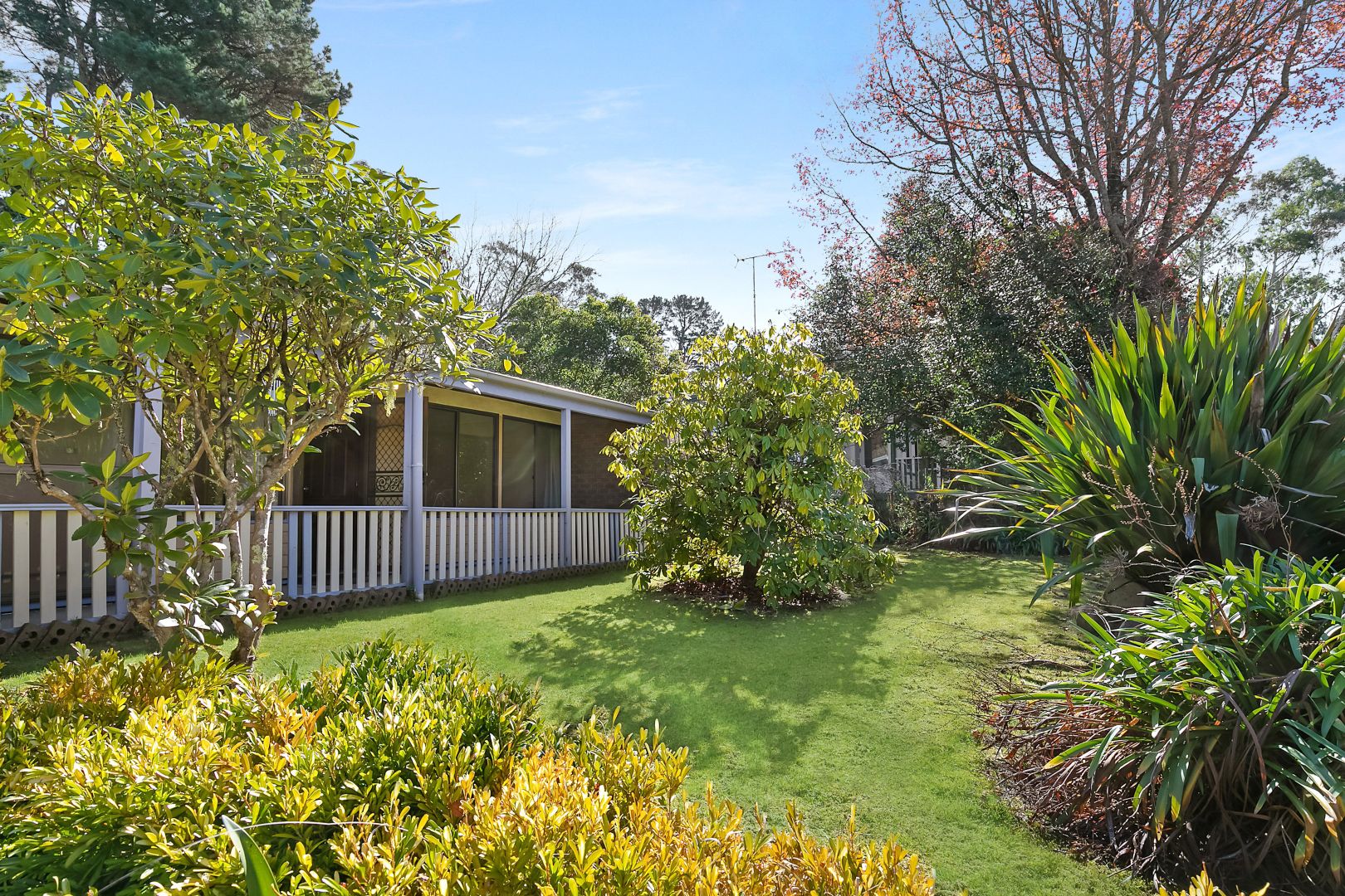 31 Fitzgerald Street, Wentworth Falls NSW 2782, Image 2