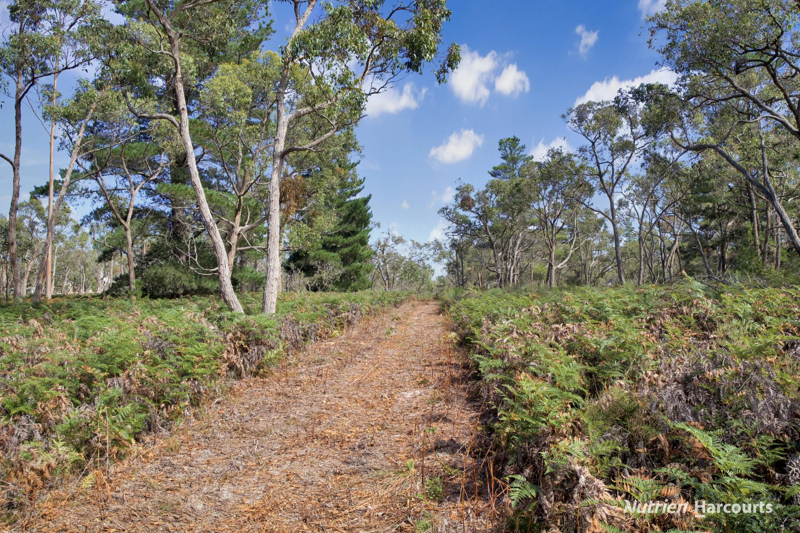 Additional image 21 of Lot 3 Patchings Road, Lake Mundi VIC 3312
