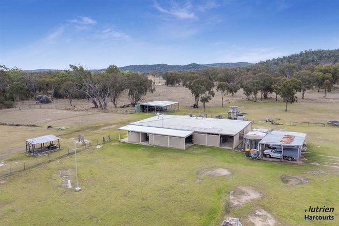 Picture of 1218a Wallangra Road, ASHFORD NSW 2361