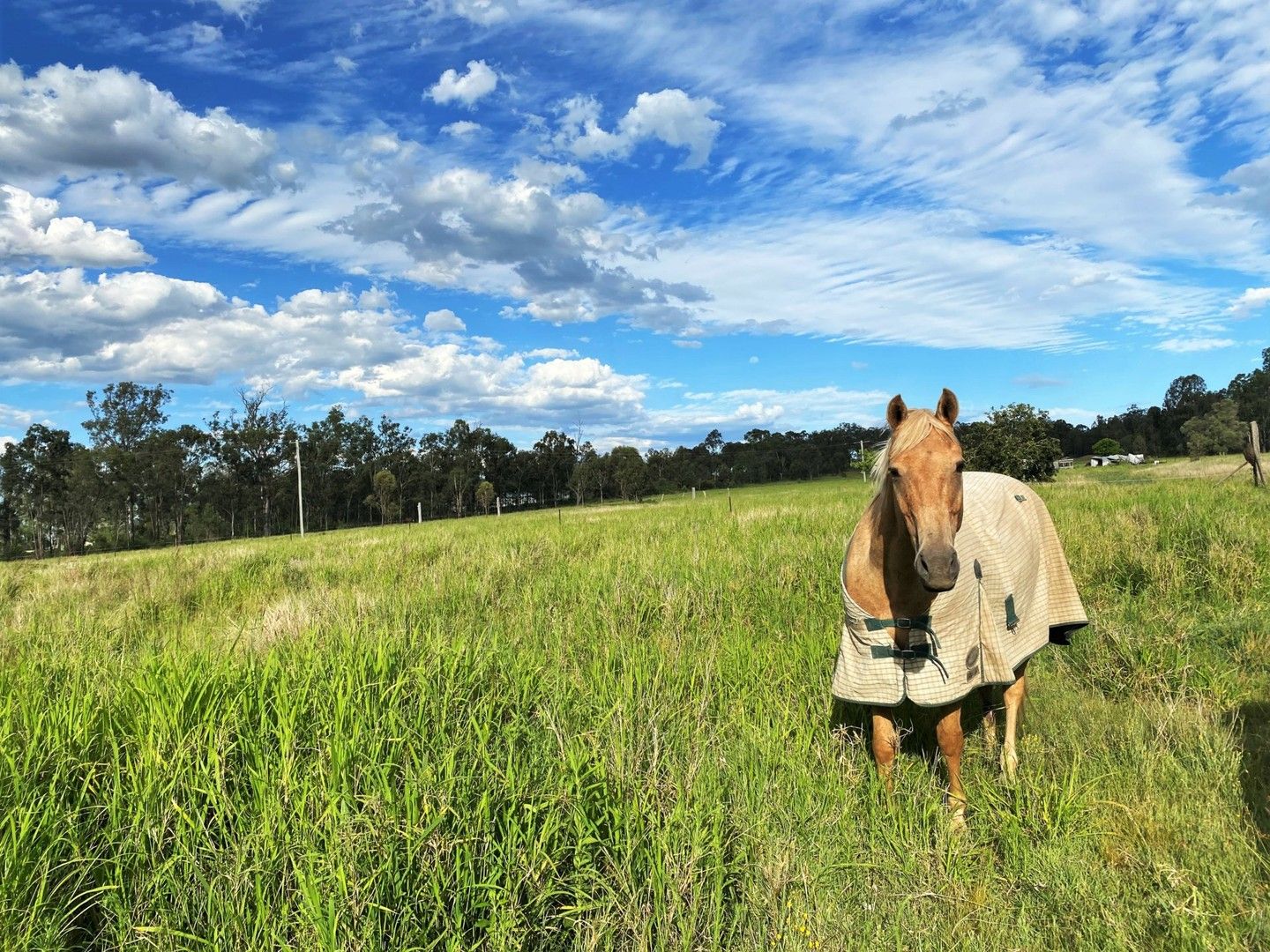 22 Forest Hill Fernvale Road, Forest Hill QLD 4342, Image 0