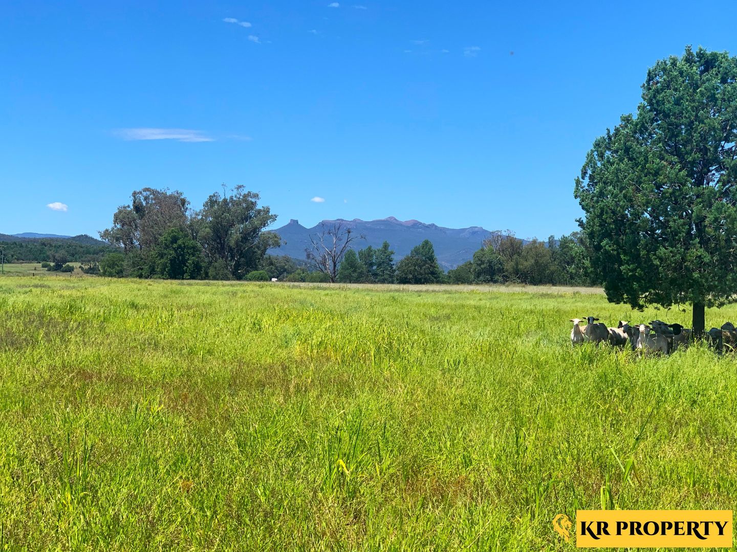 1482 Kaputar Road, Narrabri NSW 2390, Image 1