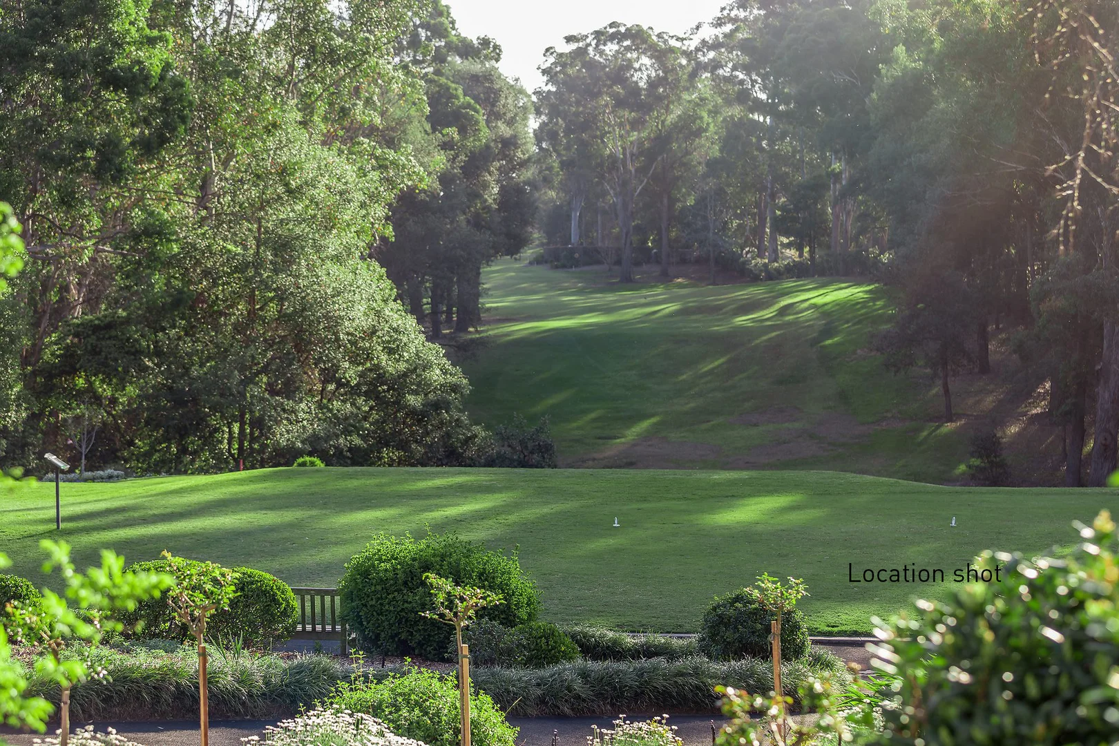 Additional image 34 of 107 Copeland Road, Beecroft NSW 2119