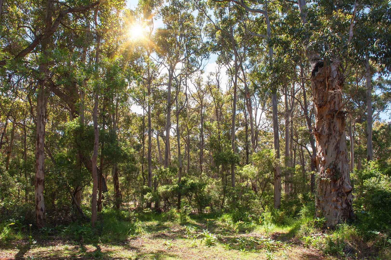 Lot 78 Colyer Drive, Hamelin Bay WA 6288, Image 1