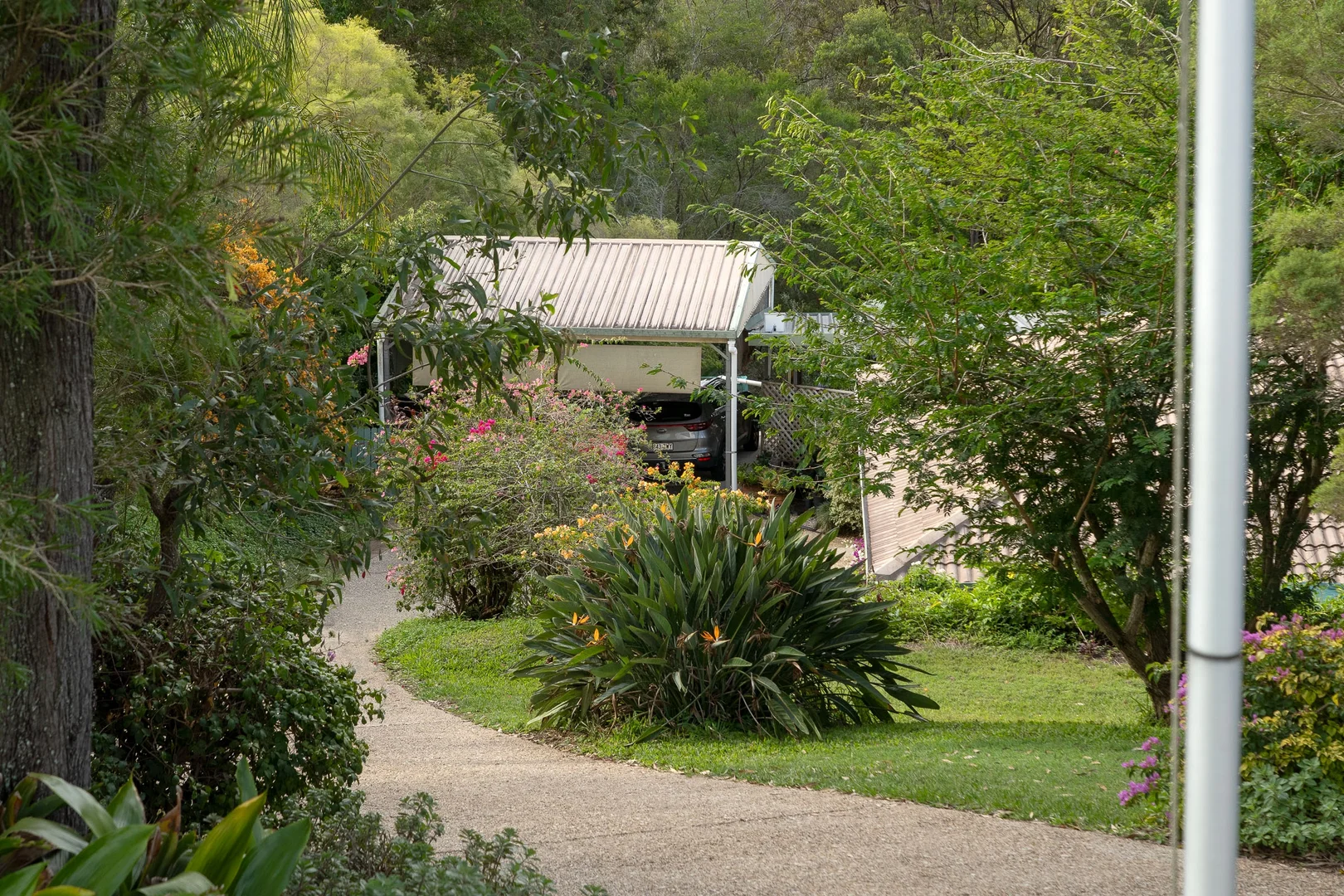 Image 31