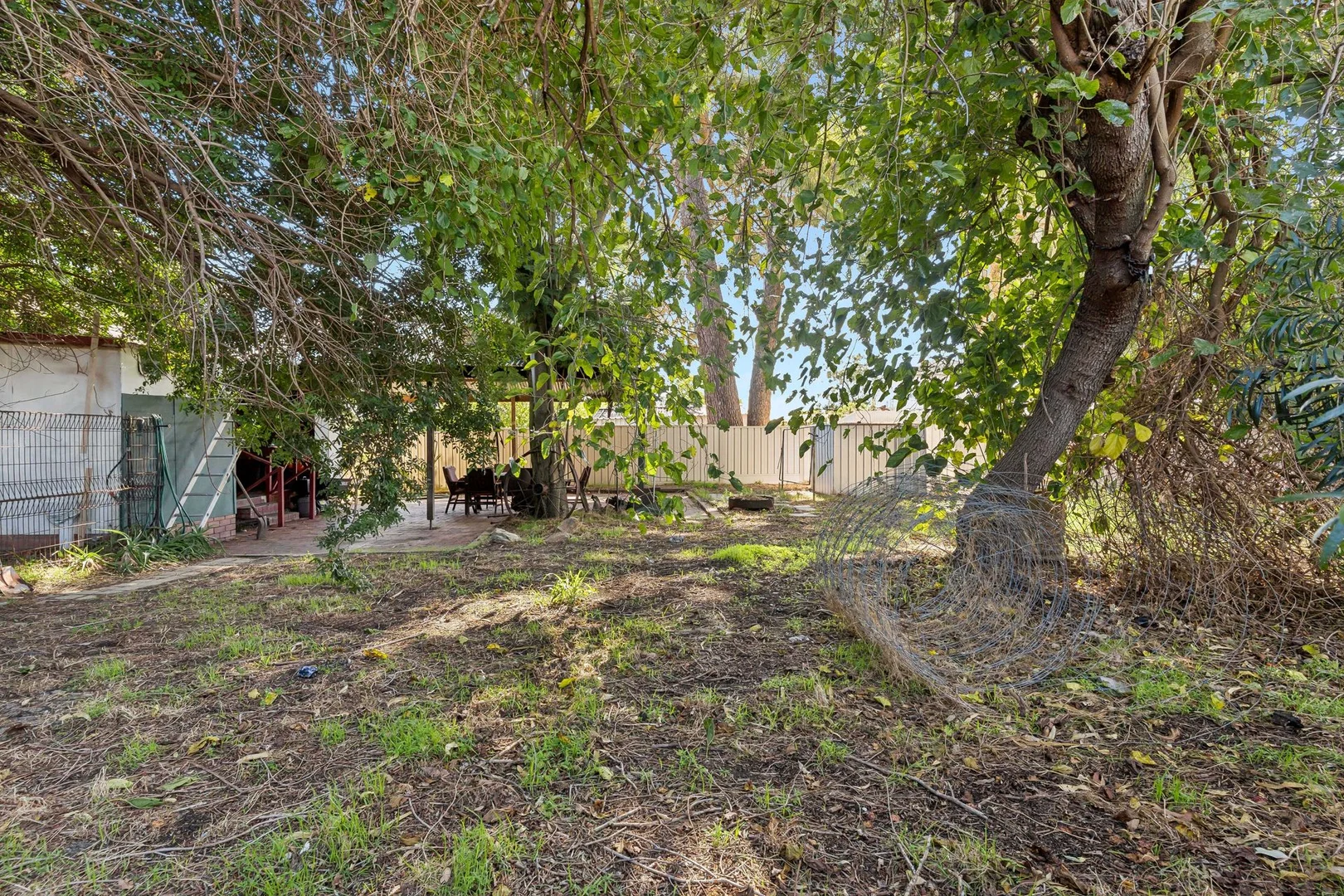 Image 21