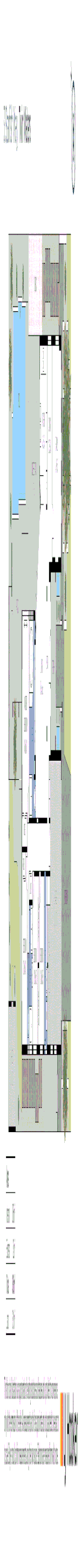Image 33