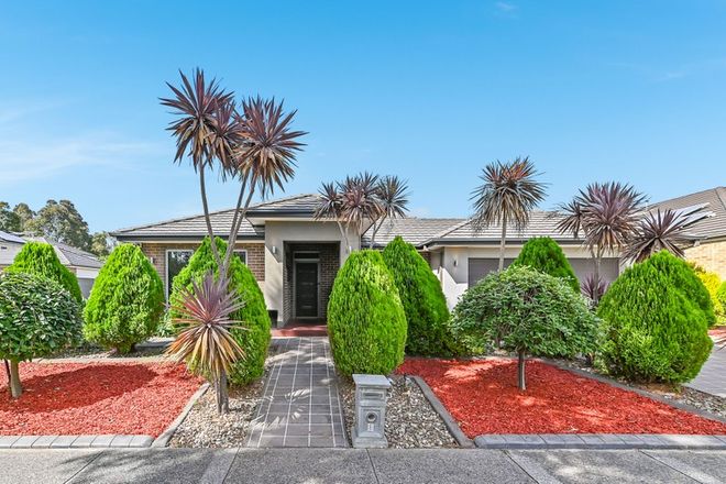 Picture of 3 Discovery Avenue, CRANBOURNE NORTH VIC 3977