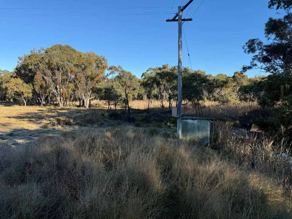 Image 13