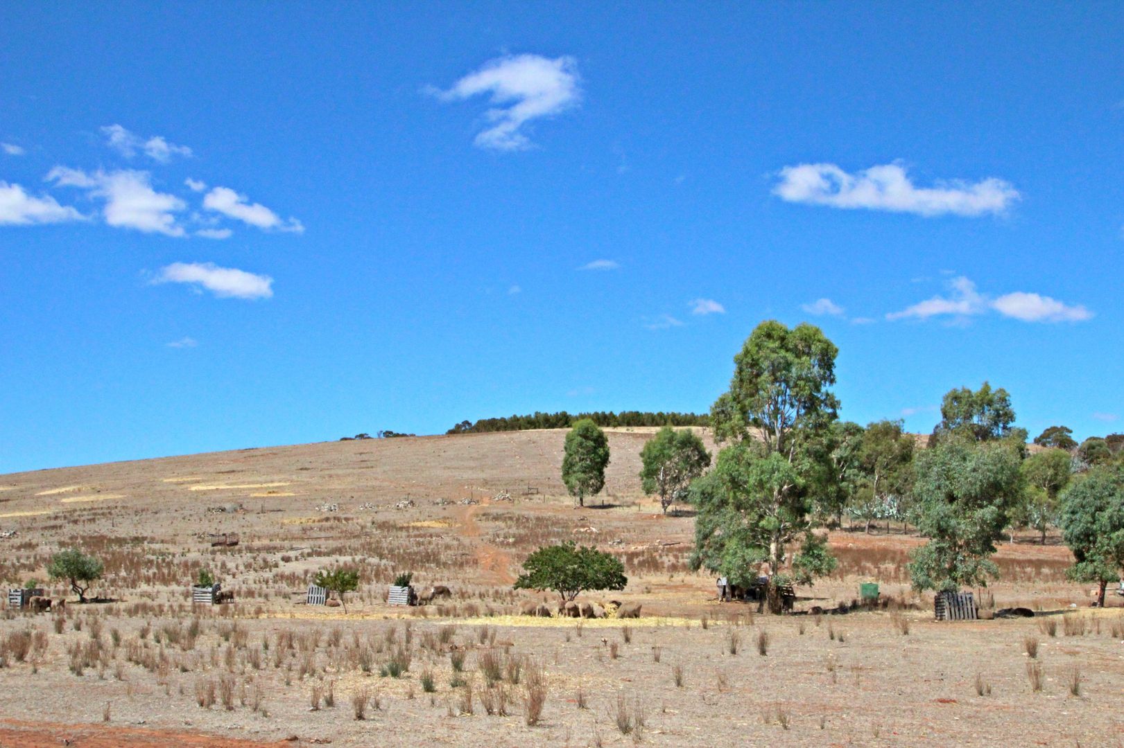 A208 Commercial Road, Burra SA 5417, Image 1