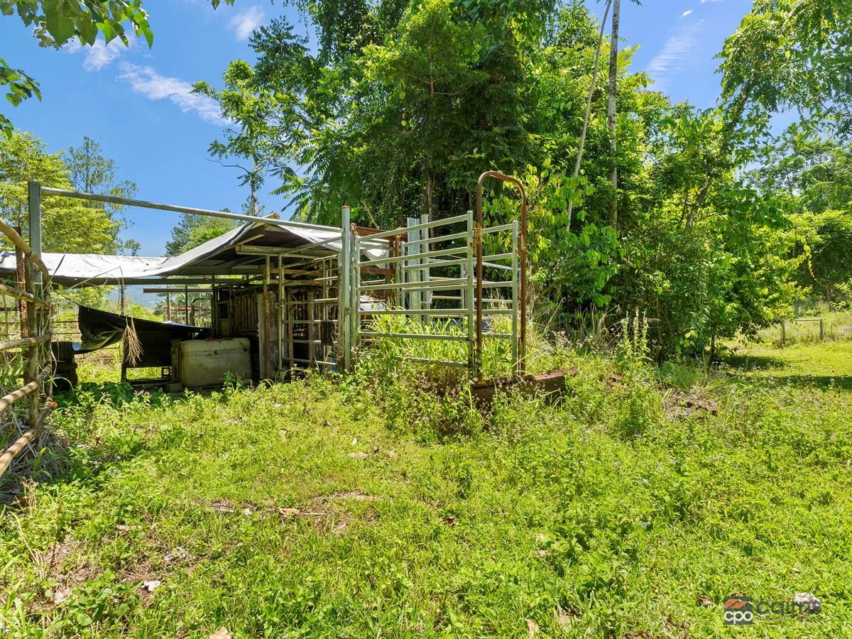 Additional image 33 of 834 Kruckow Road, East Russell QLD 4861