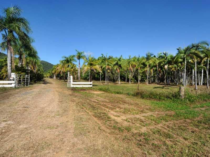 1069 Conway Road, CONWAY QLD 4800, Image 0