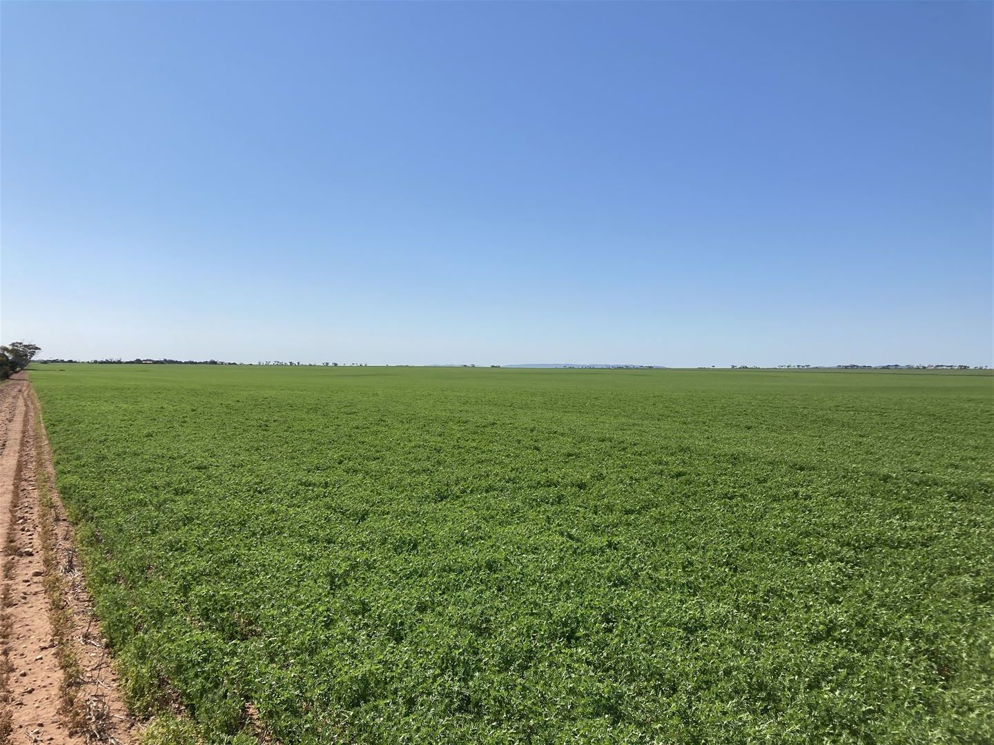 s416 & 418 Reservoir Road, Kainton SA 5552, Image 1