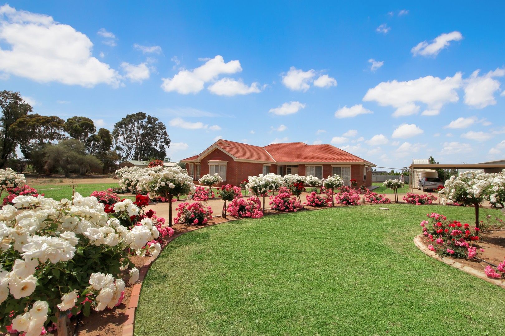 20102 Renmark Avenue, Renmark SA 5341, Image 0