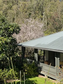 Additional image 53 of 664 Scone Road, Copeland via, Gloucester NSW 2422