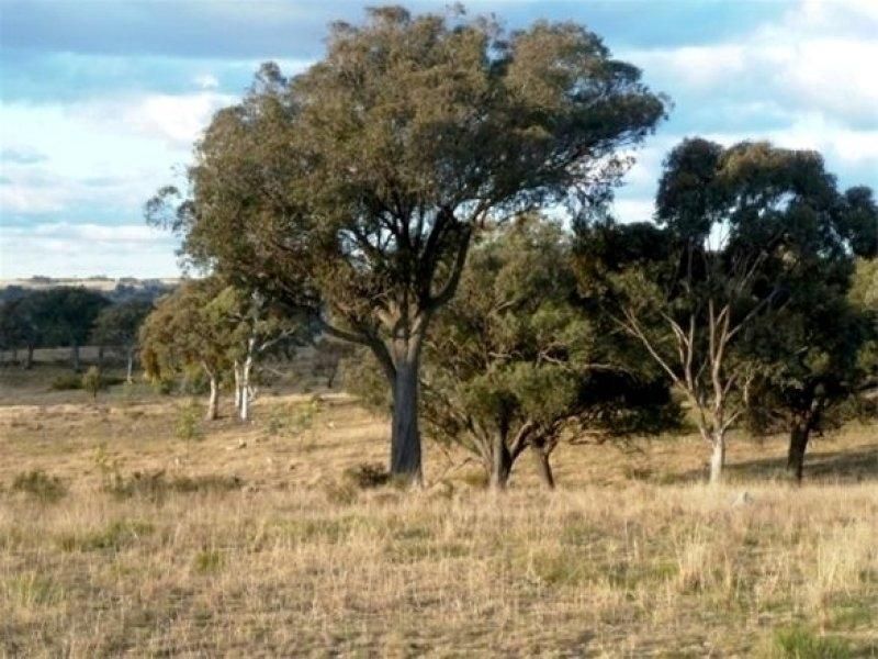 2903 Burrendong Way 'Picnic Park', KERRS CREEK NSW 2800, Image 0