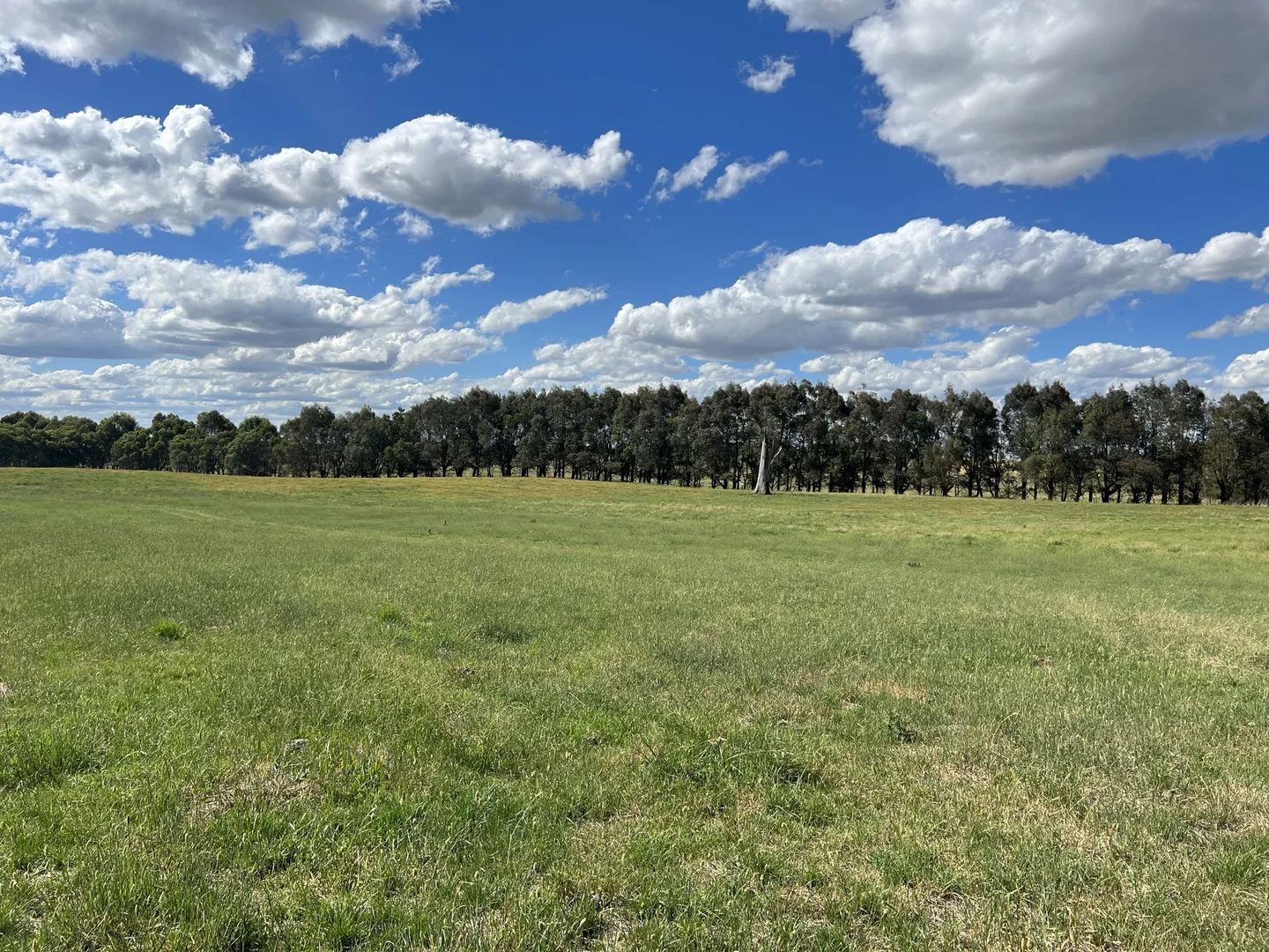 Image 30
