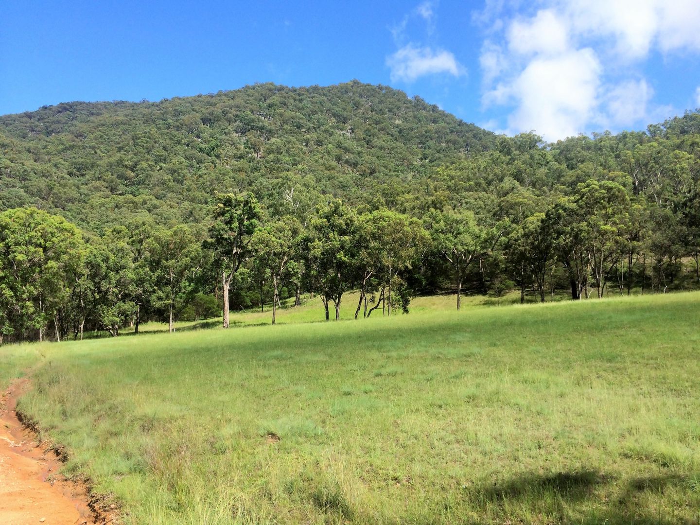 Sandy Flat NSW 2372 Vacant Land for Sale 395,000 Domain