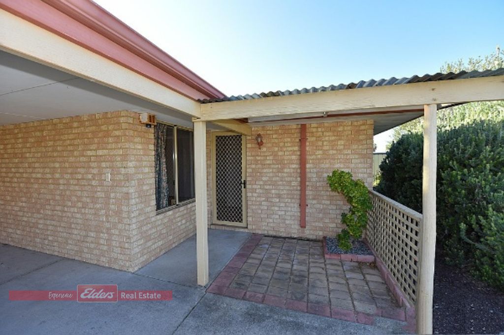 7 Torrens Drive, Waikiki WA 6169 House For Rent Domain