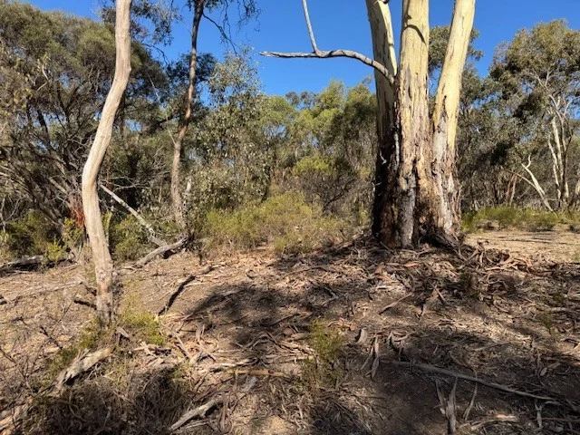 Image 9