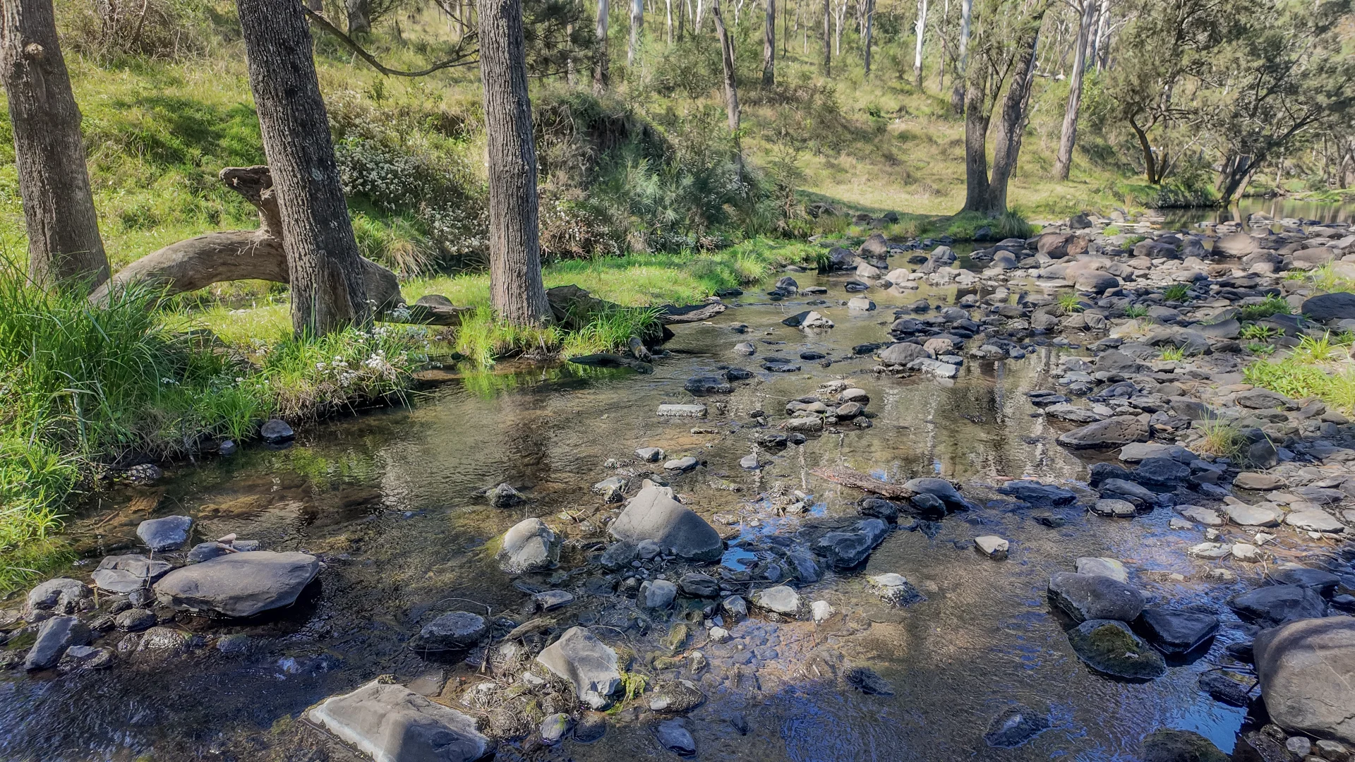 Image 10
