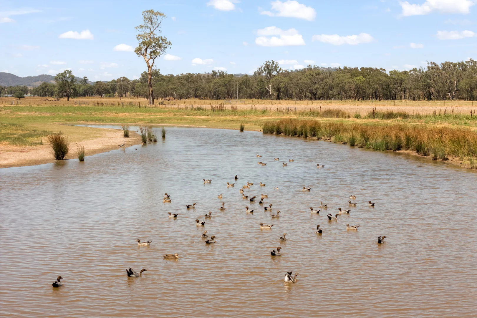 Additional image 12 of 35 Beryl Road, Gulgong NSW 2852