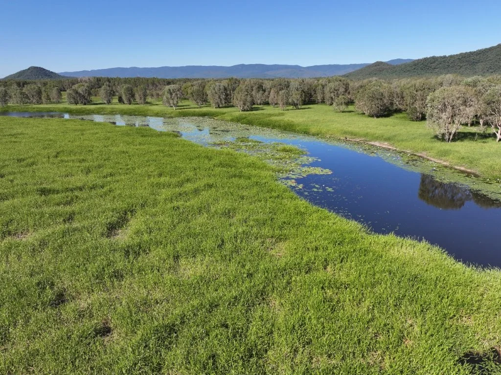 Additional image 18 of Pomona Road, Ingham QLD 4850