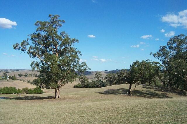 Lot 5 "Bellview Estate" Union St South Gippsland Highway, Bena VIC 3946, Image 1