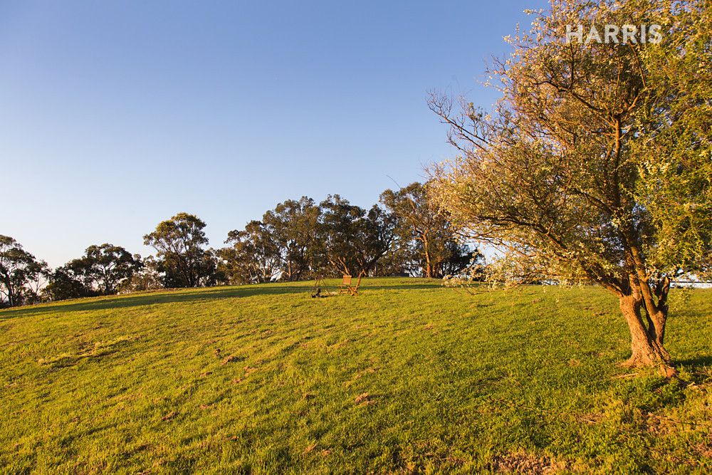 Lot 101 Hill Road, Montacute SA 5134, Image 2