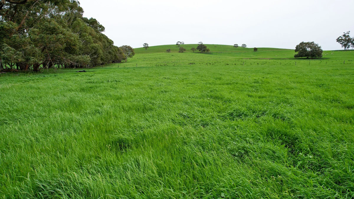 Image 17