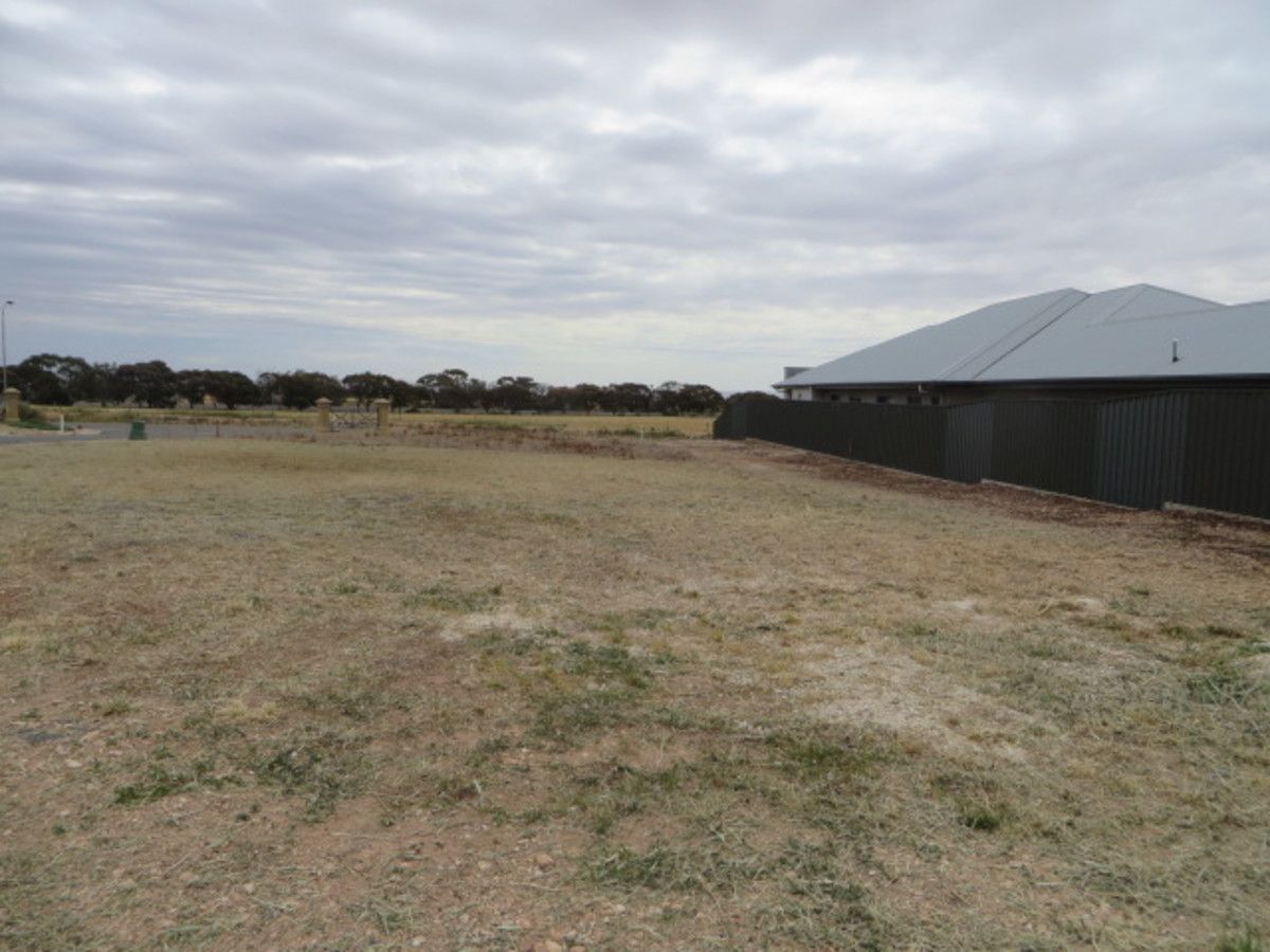 Lot 107 Reinke Court, Blyth SA 5462, Image 2