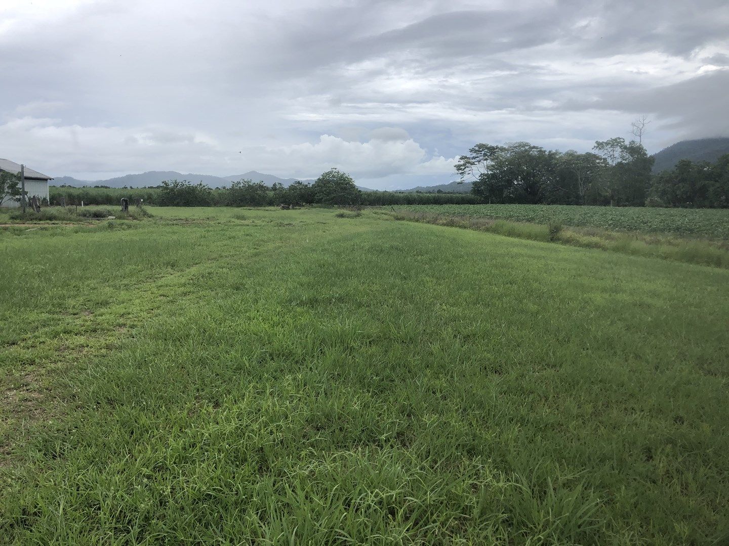 Lot 2 Old Tully Road, Midgenoo QLD 4854, Image 0