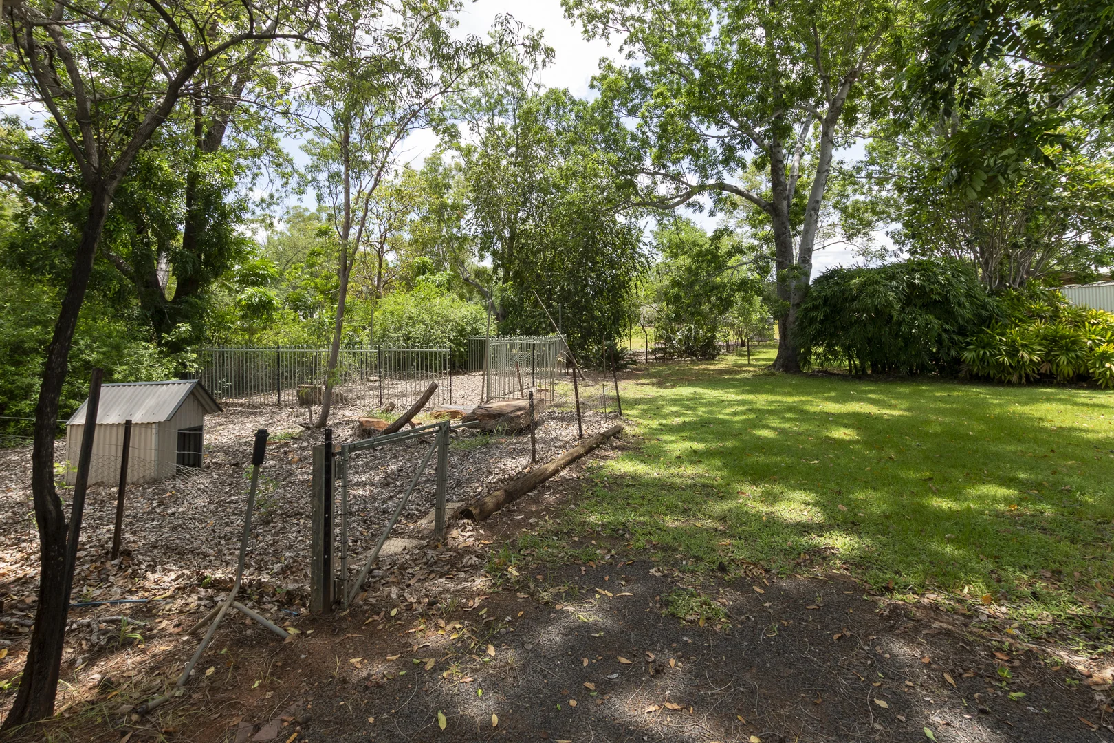 Image 49