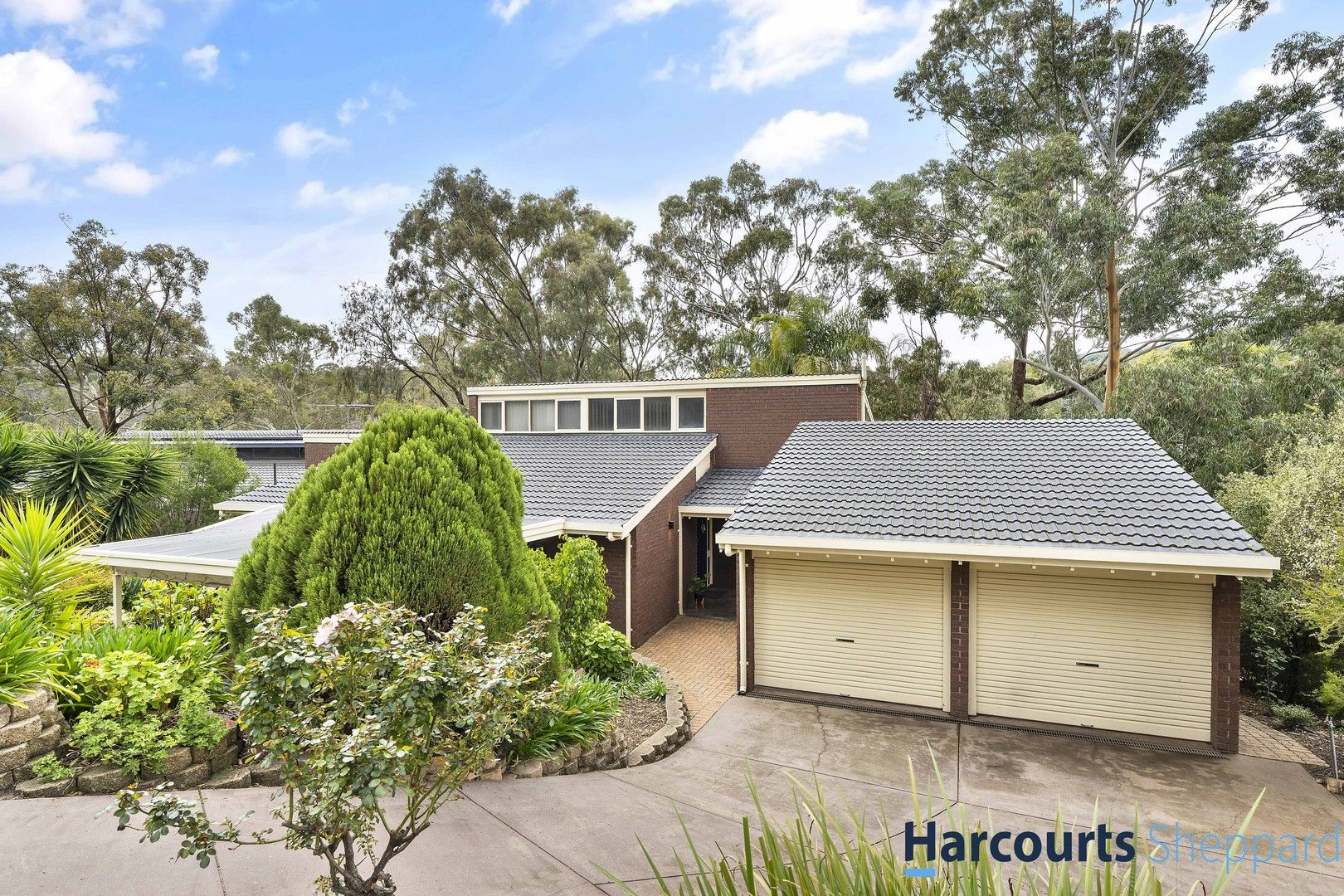 25 Sandow Crescent, Coromandel Valley SA 5051, Image 0