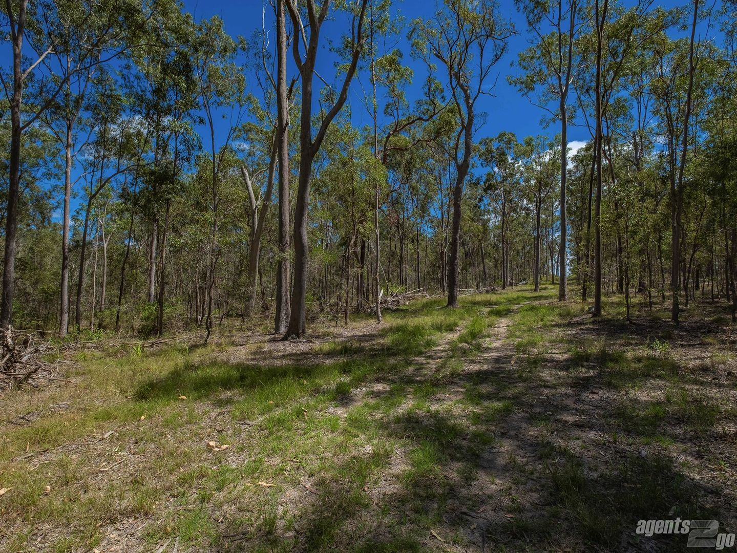 Lot 32 Baloghs Road, Anderleigh QLD 4570, Image 2