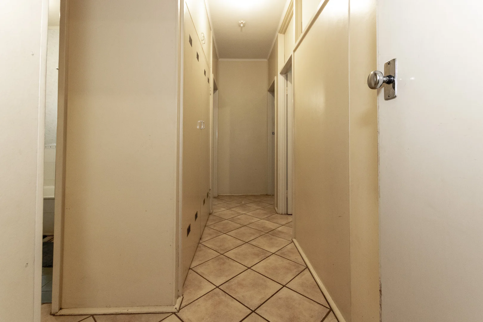 Image 20