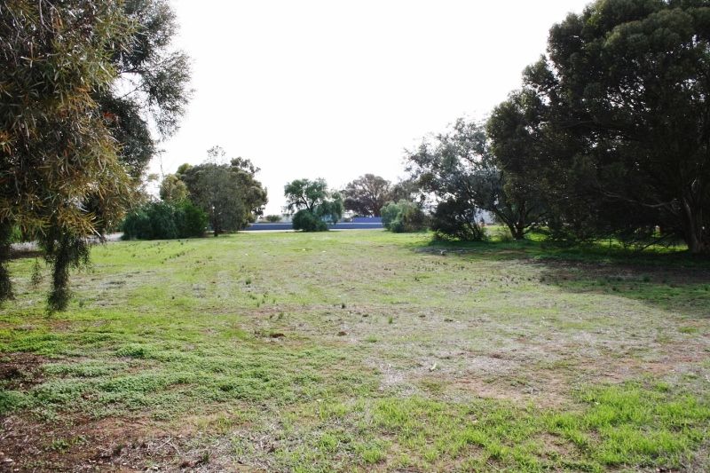 Lot 20 High Street, Hoyleton SA 5453, Image 2