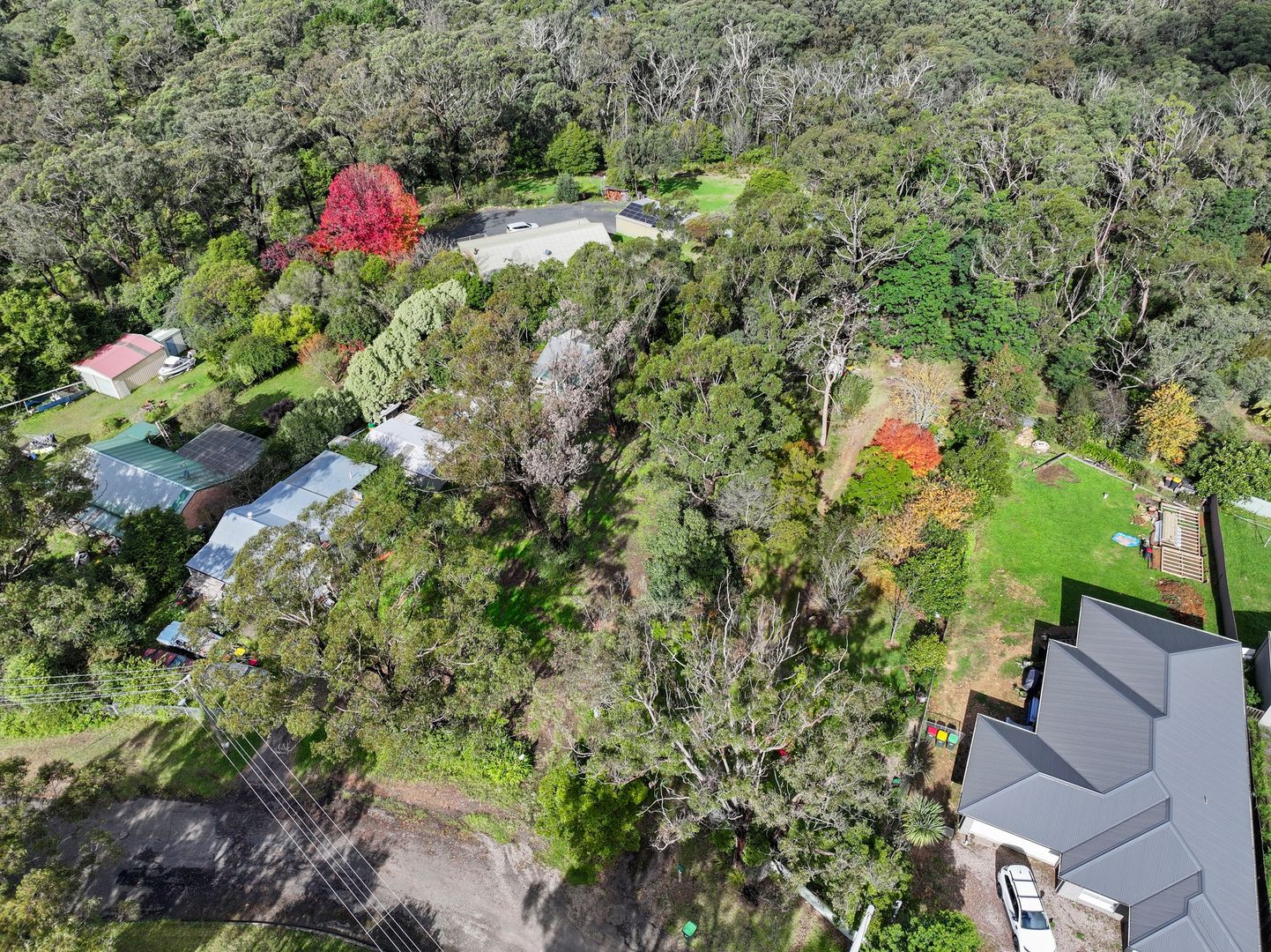 11 Bertha Street, Hill Top NSW 2575, Image 1