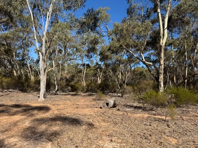 Image 11