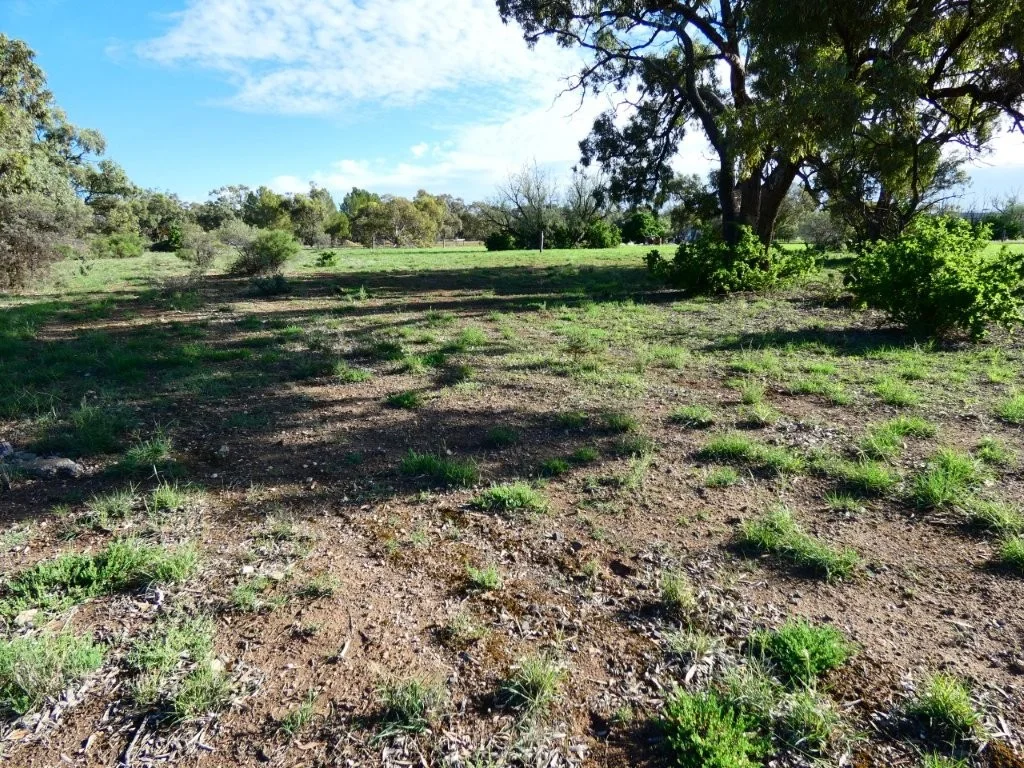 Additional image 2 of 51 Bell St, Beulah VIC 3395