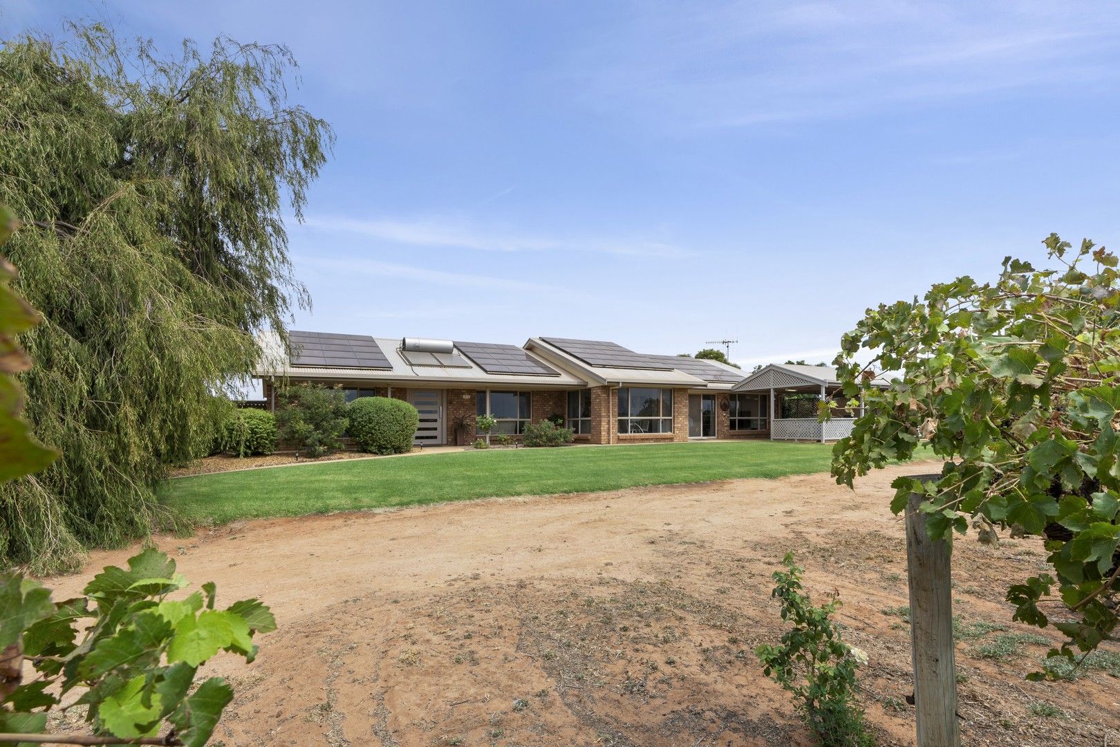 17324 Sturt Highway, Barmera SA 5345, Image 0