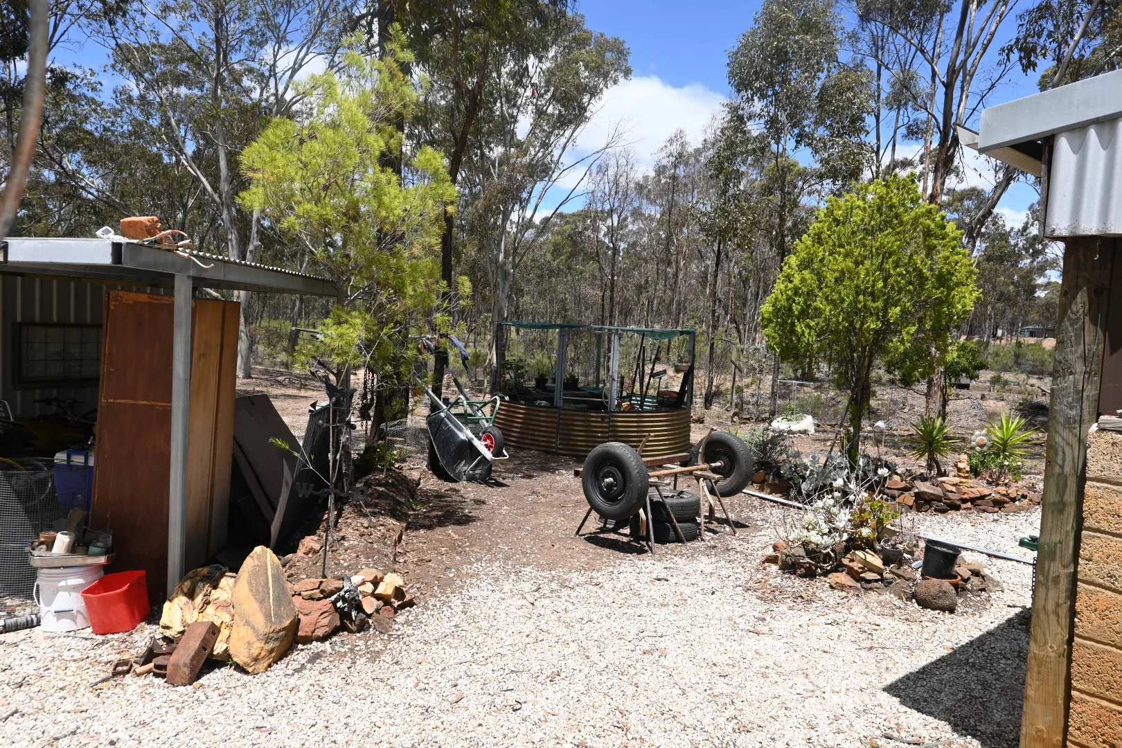 Image 20