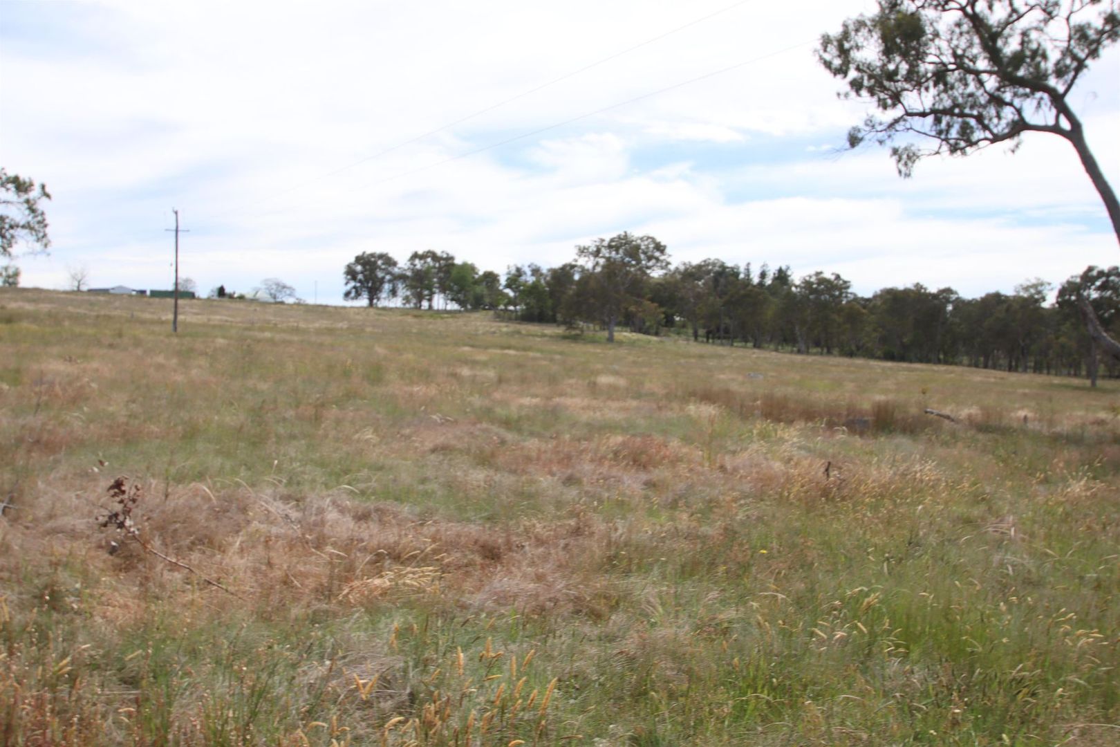 Lot 501 Neagles Lane, Tenterfield NSW 2372, Image 1