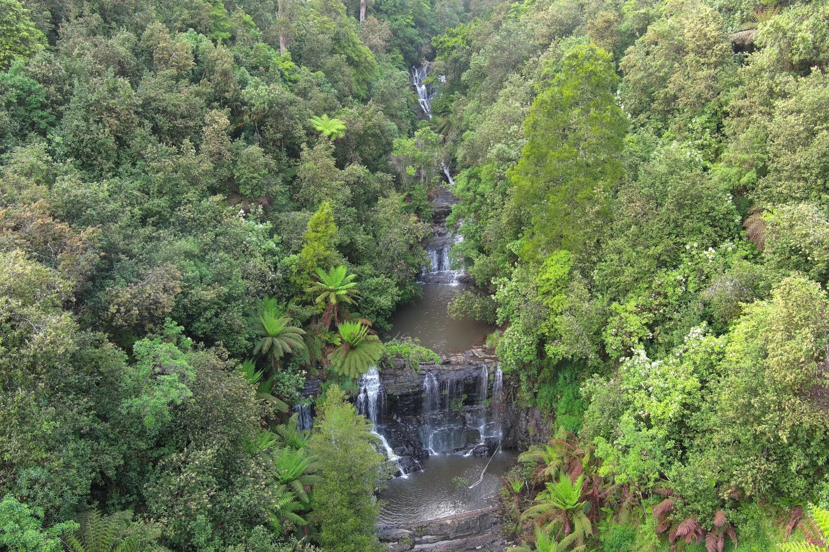 Image 12