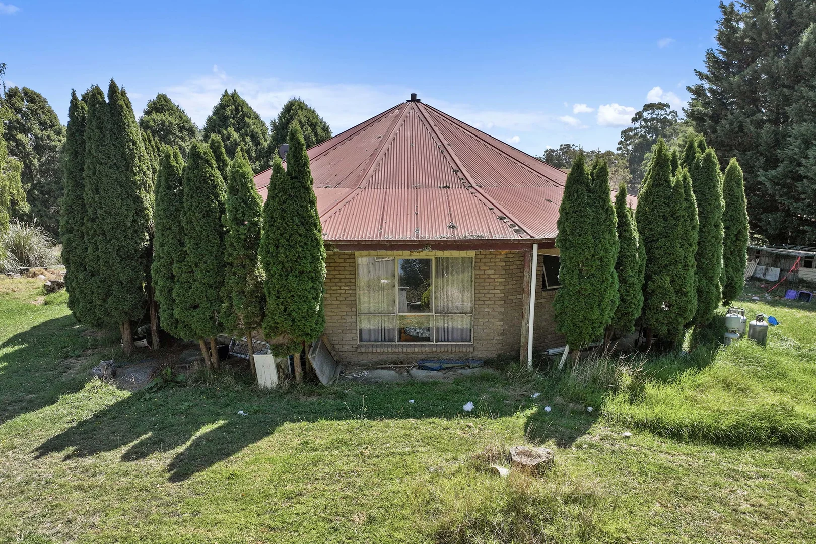Image 11
