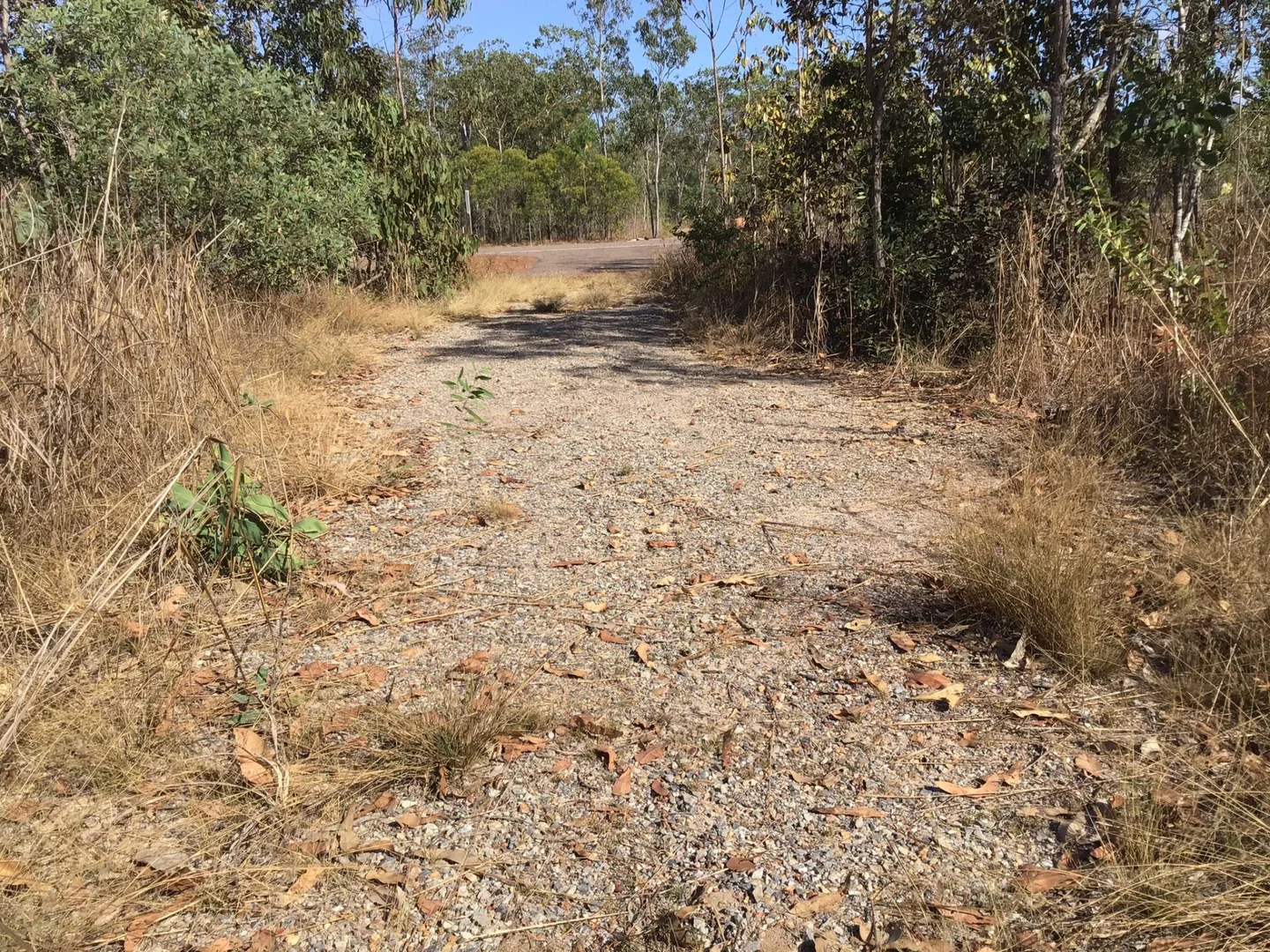 Image 12
