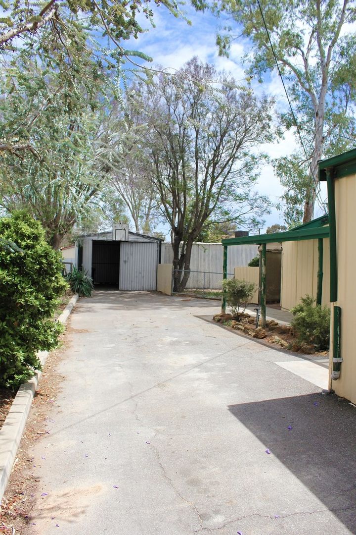 38 Acacia Crescent, Renmark SA 5341, Image 2