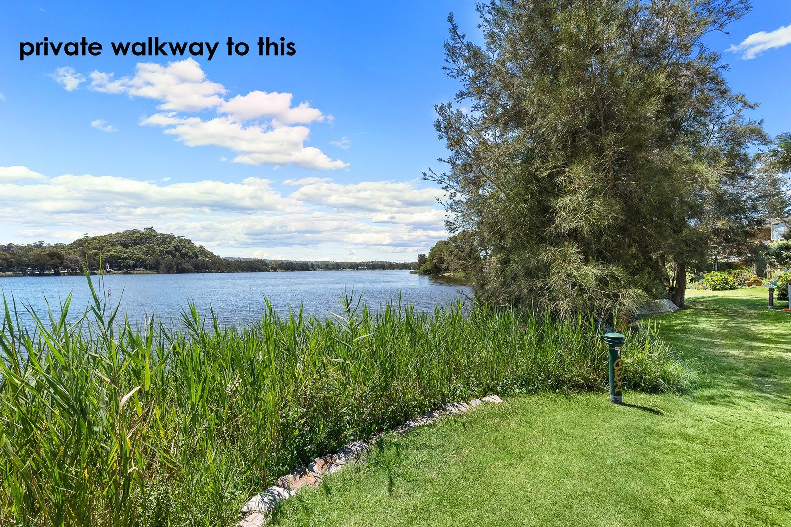 52 Lagoon Street, Narrabeen NSW 2101, Image 1