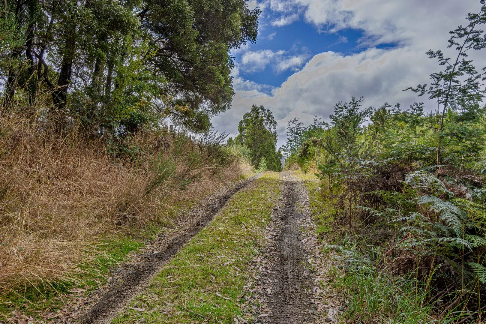 Additional image 9 of Geeveston TAS 7116