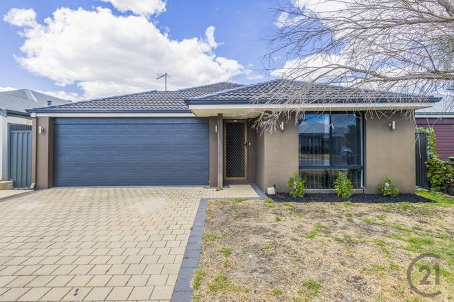 25 Affinity Street, Wellard, WA, 6170